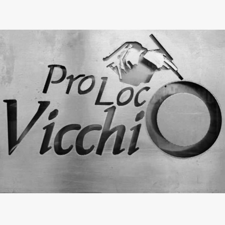 Nuovo consiglio della ProLoco Vicchio 2020.