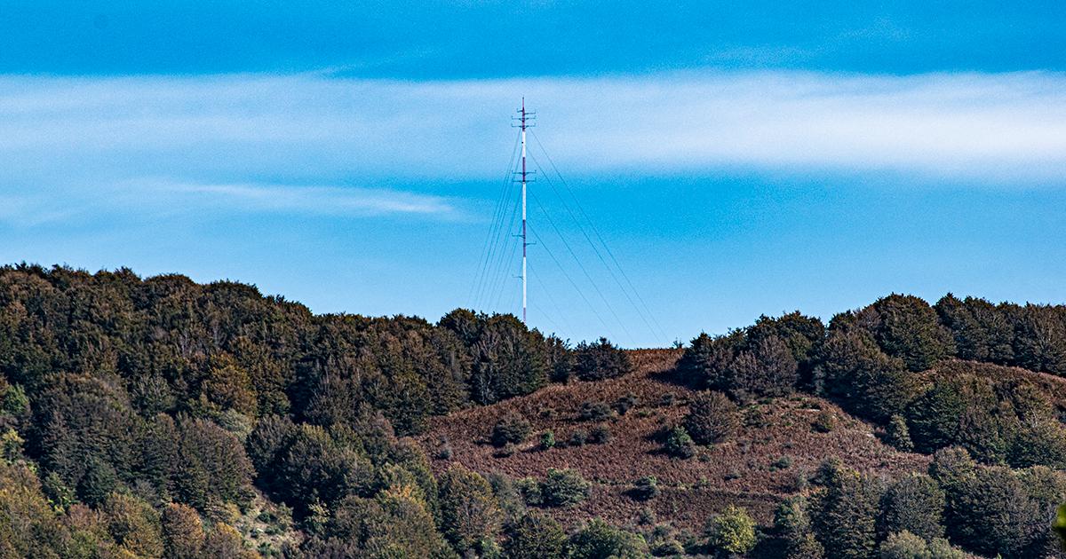 Eolico, deforestazione e COP26 - Corto circuito della Regione Eolico, deforestazione e COP26 - Corto circuito della Regione