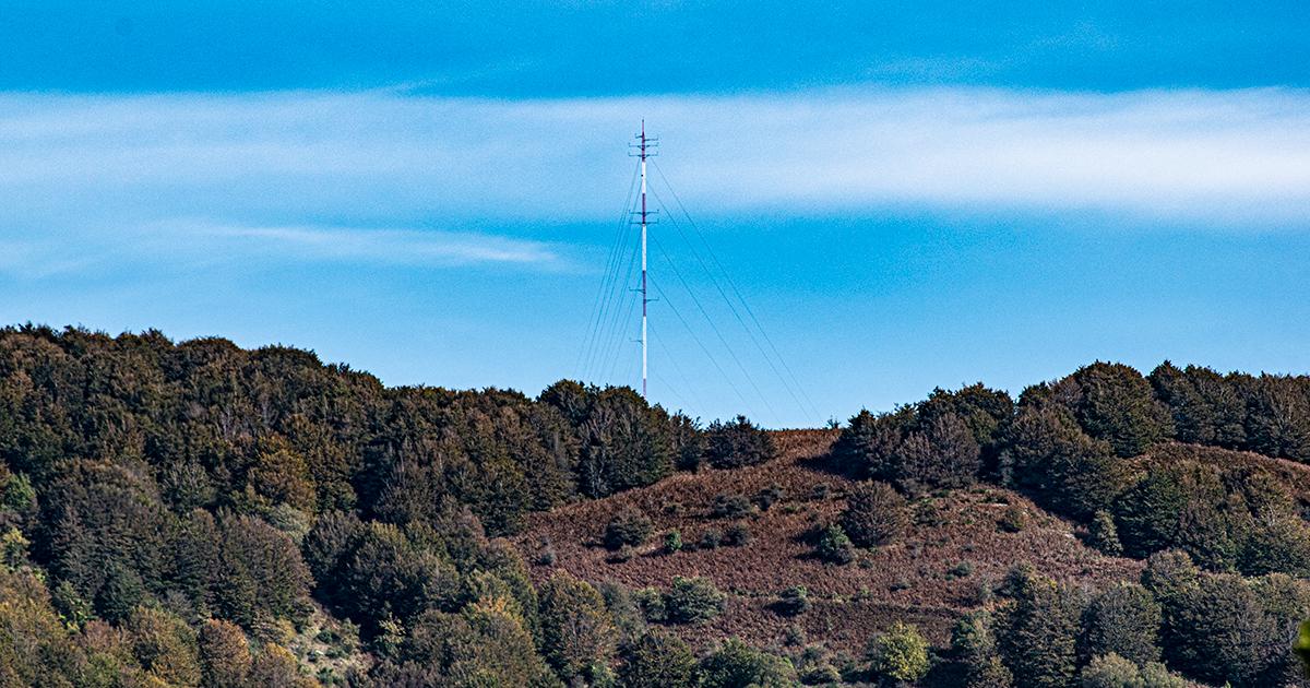 Eolico, deforestazione e COP26 - Corto circuito della Regione