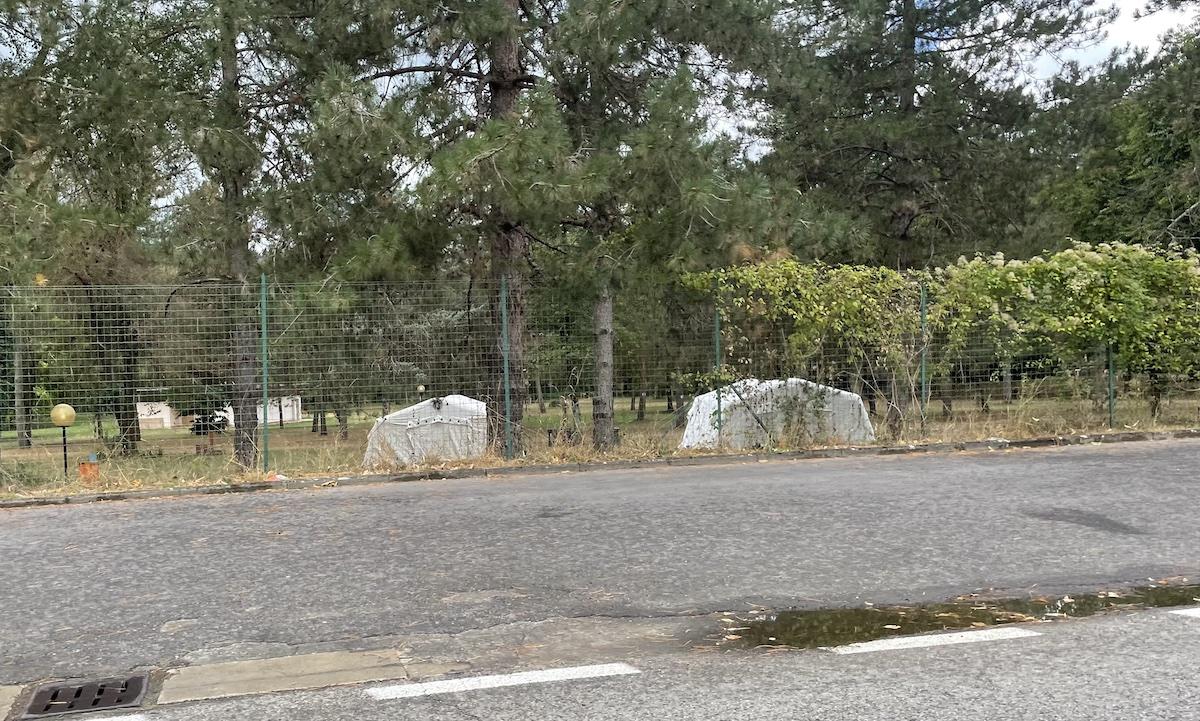 Installate due tende al campeggio di Vicchio per 17 migranti